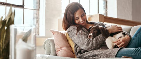 Dog boarding vs dog sitting pros and cons TrustedHousesitters